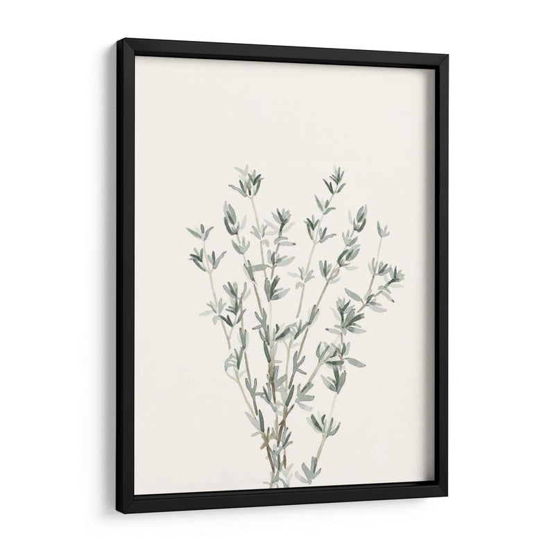 Delicate Sage Botanical Iii - Gerard Paul Deshayes | Cuadro decorativo de Canvas Lab