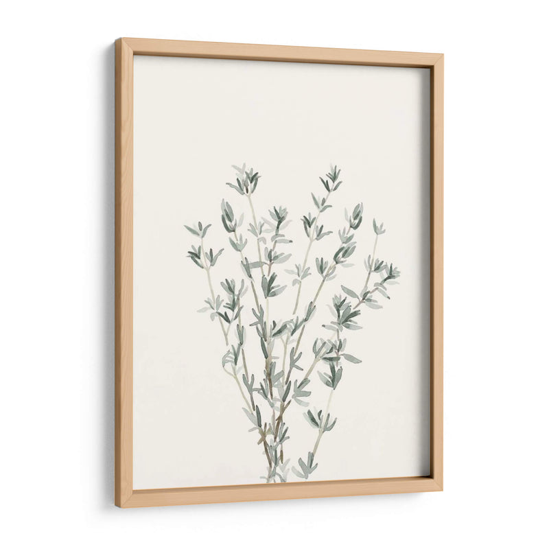 Delicate Sage Botanical Iii - Gerard Paul Deshayes | Cuadro decorativo de Canvas Lab