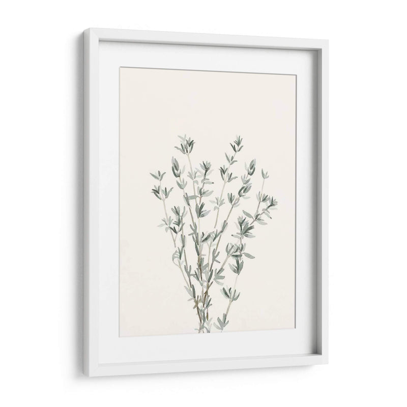 Delicate Sage Botanical Iii - Gerard Paul Deshayes | Cuadro decorativo de Canvas Lab