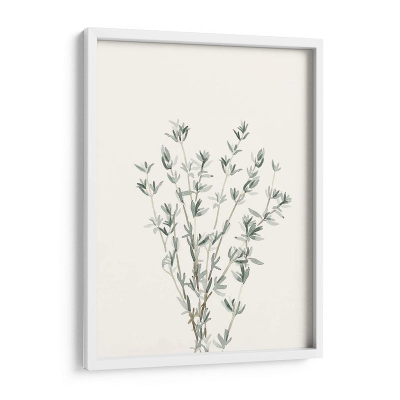 Delicate Sage Botanical Iii - Gerard Paul Deshayes | Cuadro decorativo de Canvas Lab