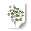 Eucalipto Windy I - Melissa Wang | Cuadro decorativo de Canvas Lab