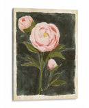 Peonías Vintage I - Grace Popp | Cuadro decorativo de Canvas Lab