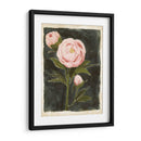 Peonías Vintage I - Grace Popp | Cuadro decorativo de Canvas Lab