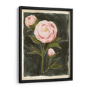 Peonías Vintage I - Grace Popp | Cuadro decorativo de Canvas Lab