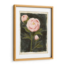 Peonías Vintage I - Grace Popp | Cuadro decorativo de Canvas Lab