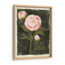 Peonías Vintage I - Grace Popp | Cuadro decorativo de Canvas Lab