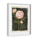 Peonías Vintage I - Grace Popp | Cuadro decorativo de Canvas Lab