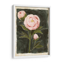 Peonías Vintage I - Grace Popp | Cuadro decorativo de Canvas Lab