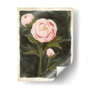 Peonías Vintage I - Grace Popp | Cuadro decorativo de Canvas Lab