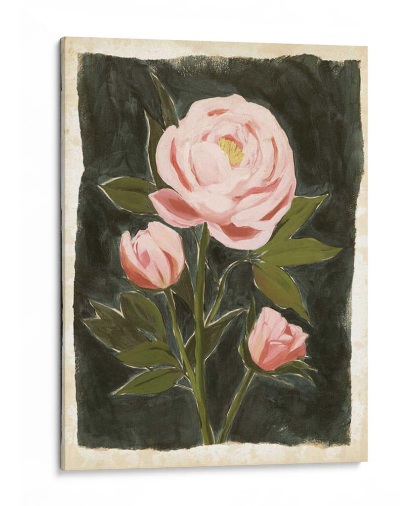 Peonies Vintage Ii - Grace Popp | Cuadro decorativo de Canvas Lab