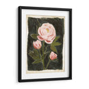 Peonies Vintage Ii - Grace Popp | Cuadro decorativo de Canvas Lab