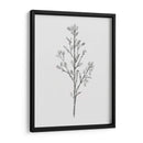 Tallo Salvaje Ii - Jacob Green | Cuadro decorativo de Canvas Lab