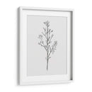 Tallo Salvaje Ii - Jacob Green | Cuadro decorativo de Canvas Lab