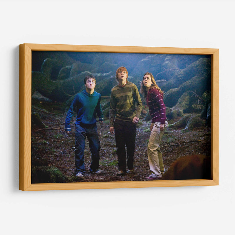 Algo tenebroso viene en camino | Cuadro decorativo de Canvas Lab