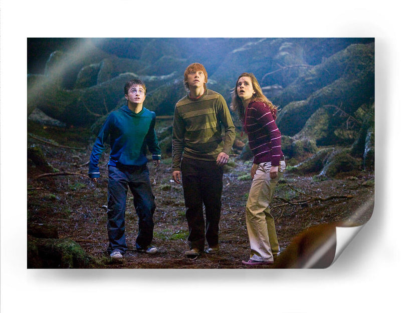 Algo tenebroso viene en camino | Cuadro decorativo de Canvas Lab