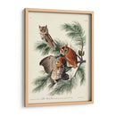 Pl 97 Pequeño Búho Chillido - John James Audubon | Cuadro decorativo de Canvas Lab