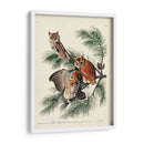 Pl 97 Pequeño Búho Chillido - John James Audubon | Cuadro decorativo de Canvas Lab
