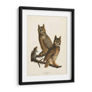 Pl 61 Gran Búho De Cuernos - John James Audubon | Cuadro decorativo de Canvas Lab