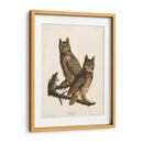 Pl 61 Gran Búho De Cuernos - John James Audubon | Cuadro decorativo de Canvas Lab