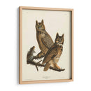 Pl 61 Gran Búho De Cuernos - John James Audubon | Cuadro decorativo de Canvas Lab