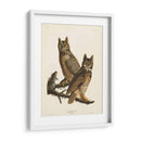Pl 61 Gran Búho De Cuernos - John James Audubon | Cuadro decorativo de Canvas Lab