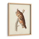 Pl 383 Búho De Orejas Largas - John James Audubon | Cuadro decorativo de Canvas Lab