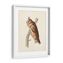Pl 383 Búho De Orejas Largas - John James Audubon | Cuadro decorativo de Canvas Lab