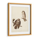 Pl 380 Tengmalms Búho - John James Audubon | Cuadro decorativo de Canvas Lab