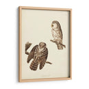 Pl 380 Tengmalms Búho - John James Audubon | Cuadro decorativo de Canvas Lab