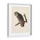 Pl 351 Gran Búho Cine - John James Audubon | Cuadro decorativo de Canvas Lab
