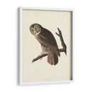 Pl 351 Gran Búho Cine - John James Audubon | Cuadro decorativo de Canvas Lab