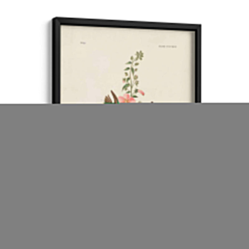 Pl 425 Columbian Hummingbird - John James Audubon | Cuadro decorativo de Canvas Lab