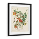 Pl 47 Colibrí De Throated Ruby - John James Audubon | Cuadro decorativo de Canvas Lab
