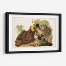 Pl 41 Grouse Ruffed - John James Audubon | Cuadro decorativo de Canvas Lab
