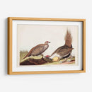 Pl 371 Polla De Las Llanuras - John James Audubon | Cuadro decorativo de Canvas Lab