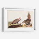 Pl 371 Polla De Las Llanuras - John James Audubon | Cuadro decorativo de Canvas Lab