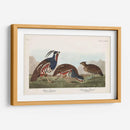 Pl 423 Pestricidad Plumada - John James Audubon | Cuadro decorativo de Canvas Lab