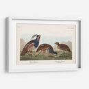 Pl 423 Pestricidad Plumada - John James Audubon | Cuadro decorativo de Canvas Lab