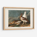 P Pl 368 Roca De Roca - John James Audubon | Cuadro decorativo de Canvas Lab