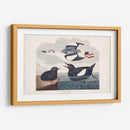 Pl 219 Negro Gillemot - John James Audubon | Cuadro decorativo de Canvas Lab
