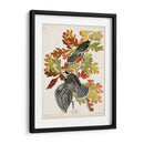 Pl 107 Canadá Jay - John James Audubon | Cuadro decorativo de Canvas Lab