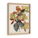 Pl 107 Canadá Jay - John James Audubon | Cuadro decorativo de Canvas Lab
