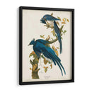 Pl 96 Columbia Jay - John James Audubon | Cuadro decorativo de Canvas Lab