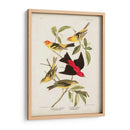 Pl 354 Louisiana Tanager - John James Audubon | Cuadro decorativo de Canvas Lab