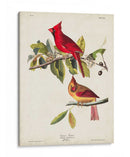 Pl 158 Cardenal Grosbeak - John James Audubon | Cuadro decorativo de Canvas Lab