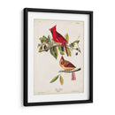 Pl 158 Cardenal Grosbeak - John James Audubon | Cuadro decorativo de Canvas Lab