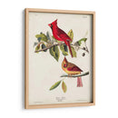 Pl 158 Cardenal Grosbeak - John James Audubon | Cuadro decorativo de Canvas Lab