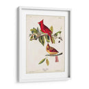 Pl 158 Cardenal Grosbeak - John James Audubon | Cuadro decorativo de Canvas Lab