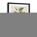 Pl 74 Ave Indigo - John James Audubon | Cuadro decorativo de Canvas Lab