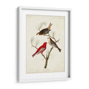 Pl 358 Pino Grosbeak - John James Audubon | Cuadro decorativo de Canvas Lab